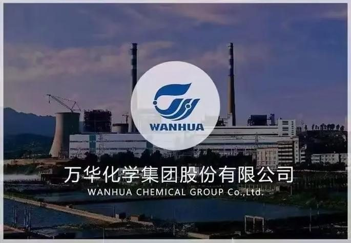 大中矿业联手万华建20万吨锂盐项目：打通锂矿-锂盐-电池材料全链条